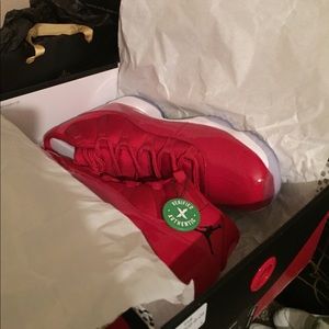 Air Jordan 11 win like 96